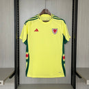 Camisola Seleção País de Gales 2024/25 Away