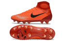 MAGISTA ORDEN II FG