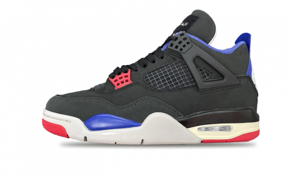 AIR JORDAN 4 RARE AIR