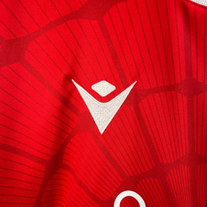 Camisola Crystal Palace 2023/24 Home