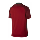 Camisola Retro  Portugal 2016